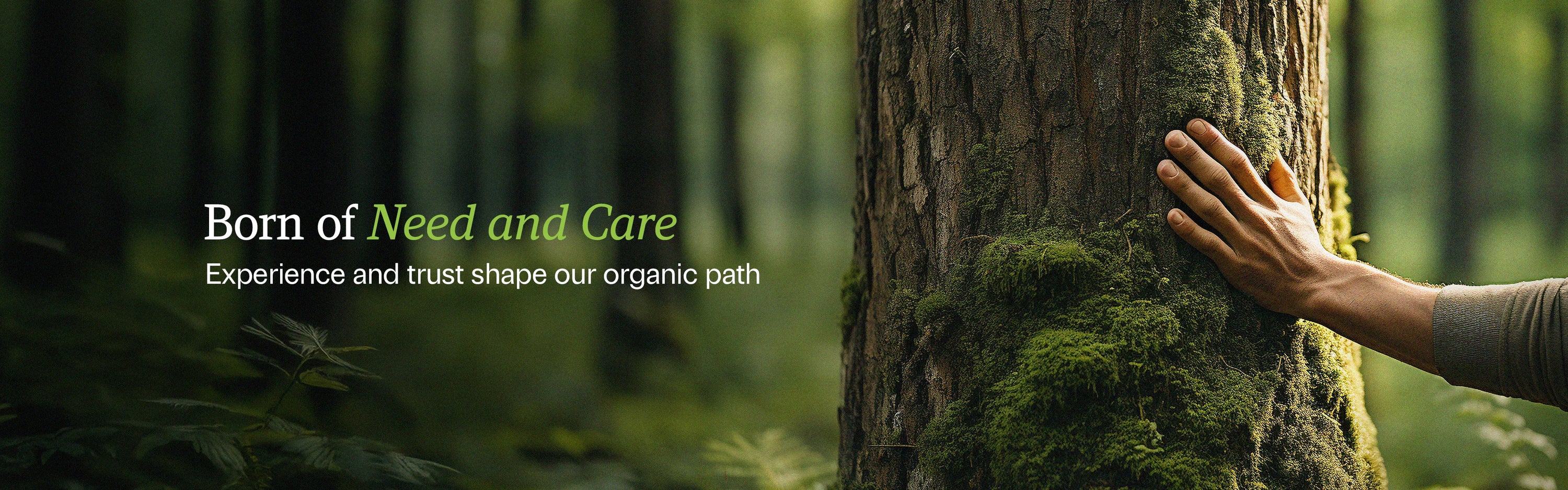 Hand touching a tree trunk in a forest with text about organic products.