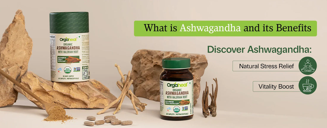 What is Ashwagandha and its Benefits?