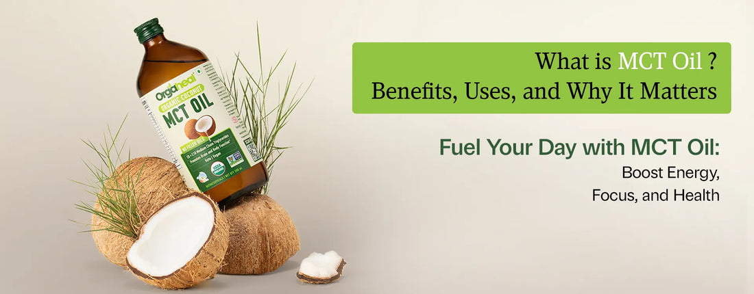 What is MCT Oil? Benefits, Uses, and Why It Matters