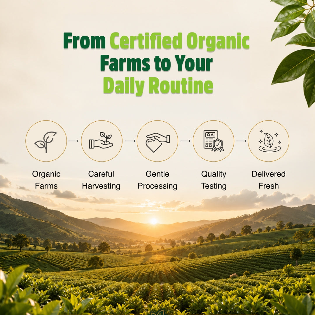 Orgaheal certified organic farms process from harvesting to daily routine quality testing