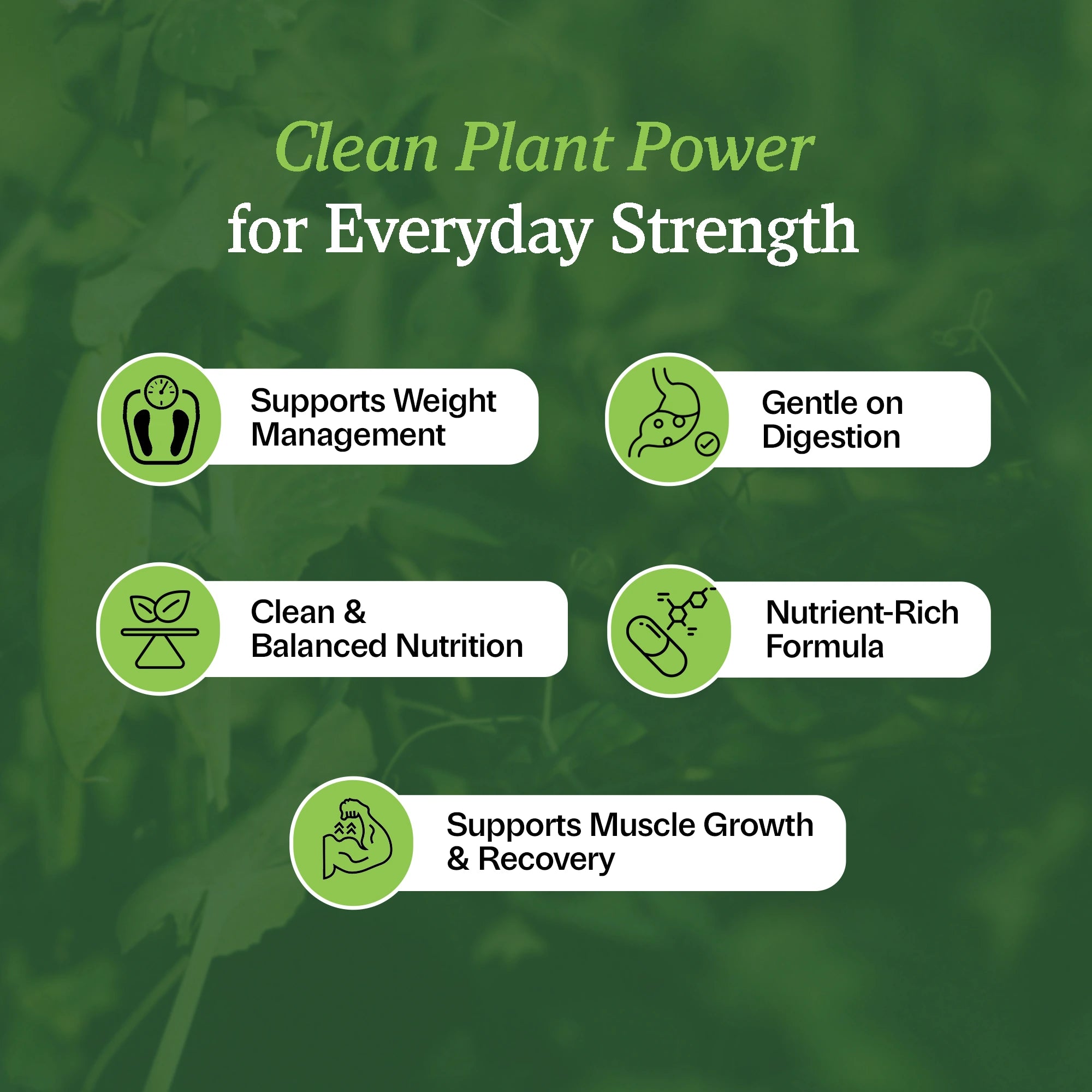 Product benefits chart highlighting muscle recovery, balanced daily nutrition, and digestive support.