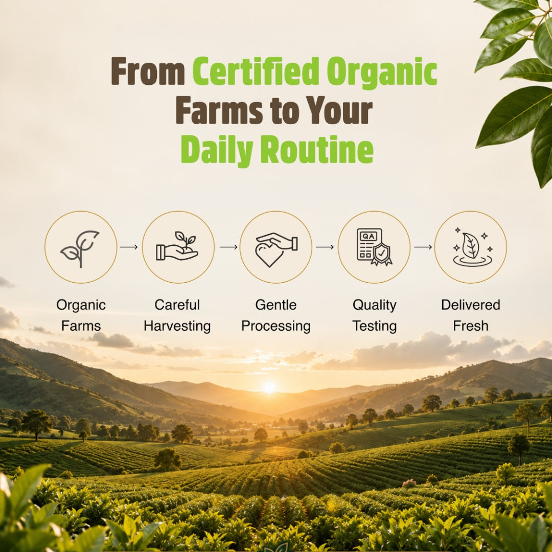 Orgaheal certified organic farms to daily routine process from harvesting to quality testing